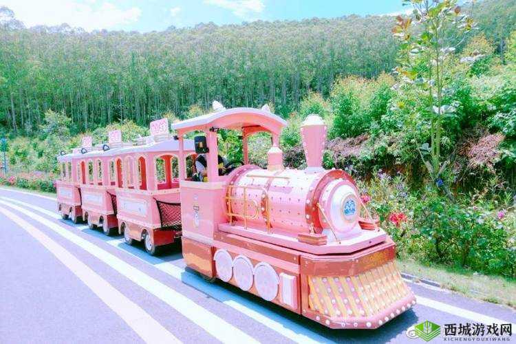 萌猫公园：萌趣游玩好去处