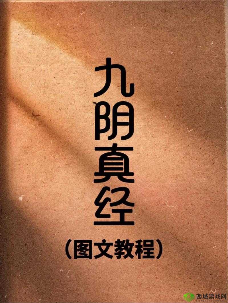 九阴真经 9yzj 网：探秘江湖武学秘籍
