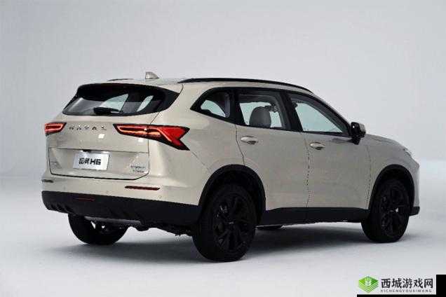 国产 SUV 精品一区二区四:优质车型推荐