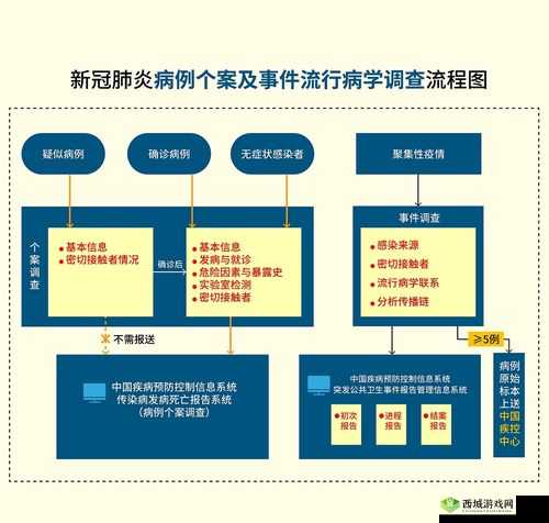 果冻传染煤九一：一种新型病毒的传播与防控