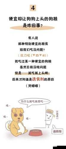 人狗配方大全图片：趣味解读