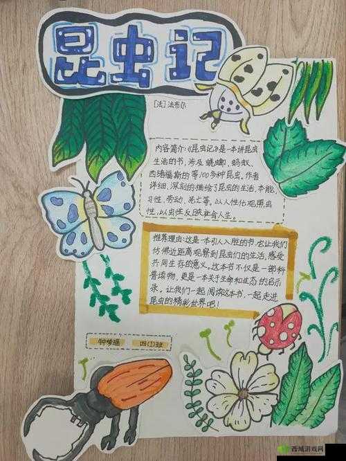 带颜色的电子书：精彩世界等你来探索