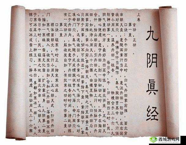 九阴真经 9yzj 网:武侠世界的神秘宝藏