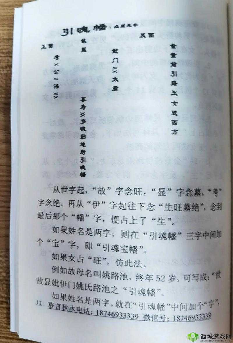 一马双跨童子笔趣阁：相关内容介绍