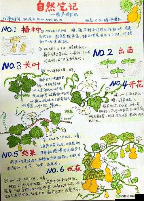 我爱搞g52g-探索其中的奥秘