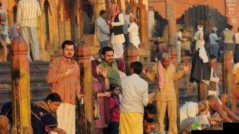 印度人性能是否强：引发的思考