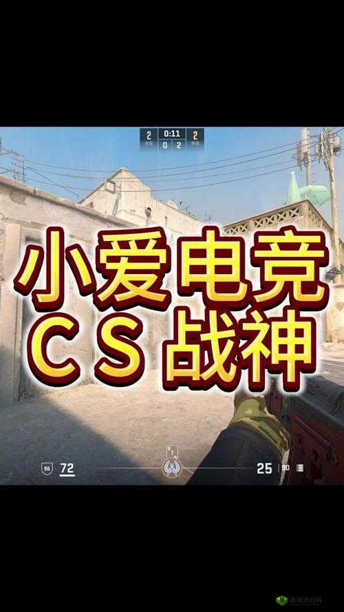 俄罗斯 CSGO 男子女子 PK 精彩对决