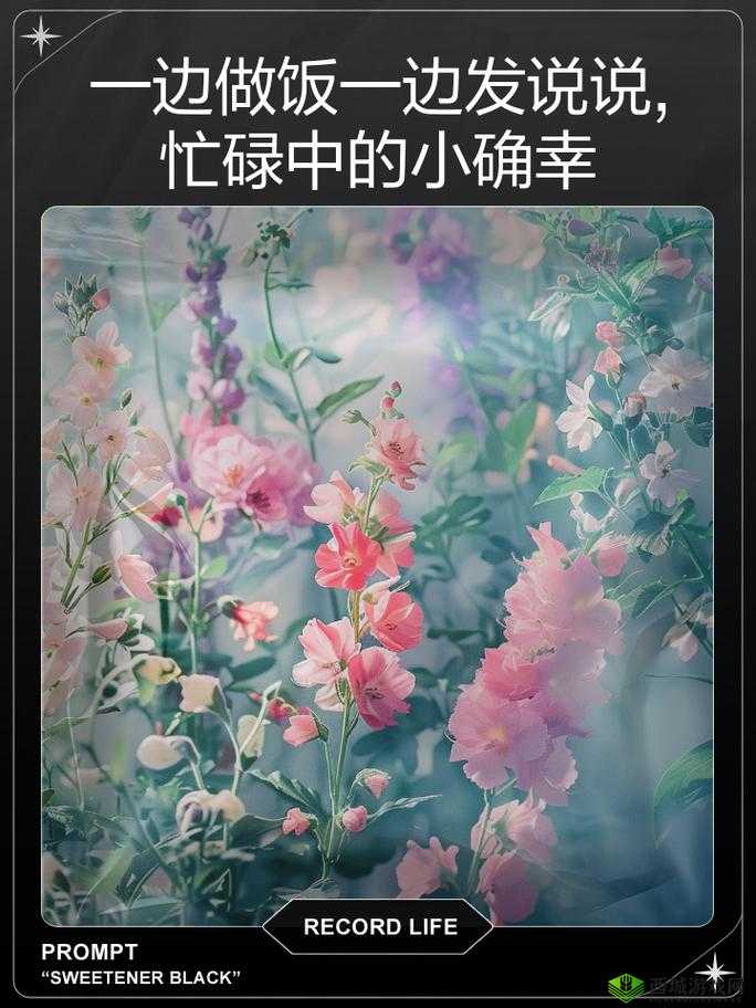 一边做饭一边狂做最有效的一句：揭示生活妙方