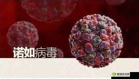 果冻传染煤 2024:令人震惊的病毒爆发