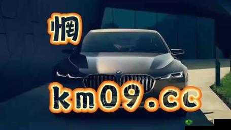 8x8x.io 最新地域网名是啥:相关探讨