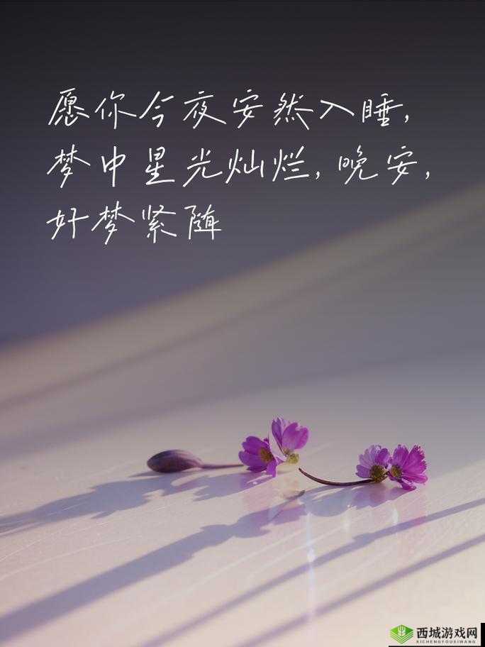 在睡前 c1v1 文案：助你安然入睡