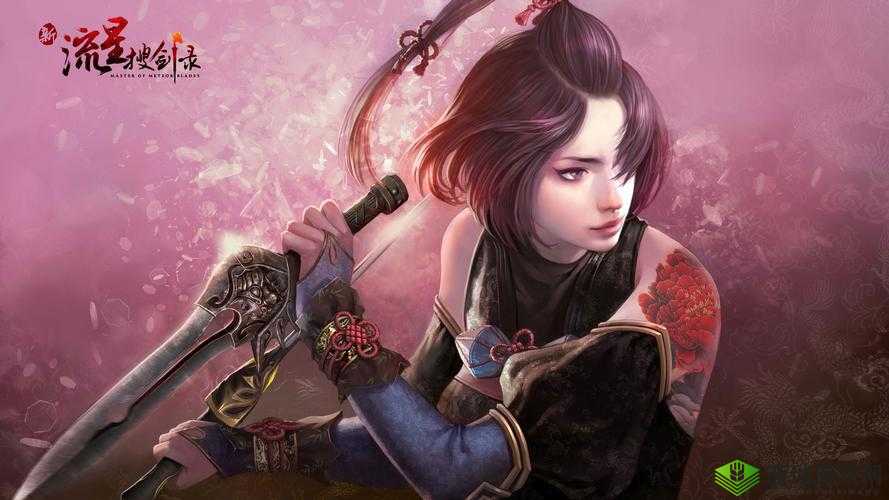 《新流星搜剑录》：古风江湖，搜剑求真，流星闪耀
