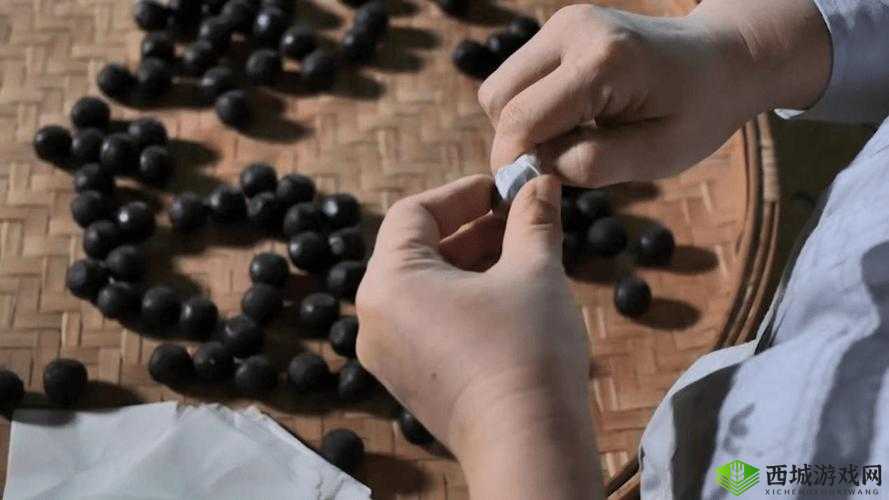 醉花阴萝卜药丸了:探寻其神秘面纱