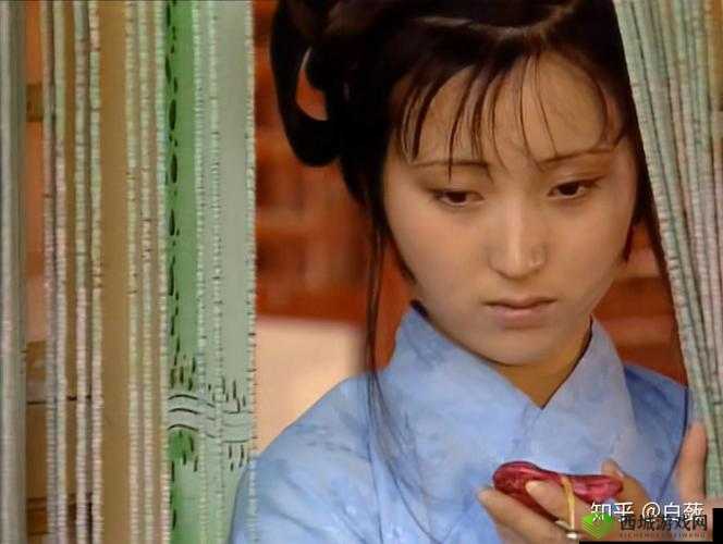 黛玉初试云雨：探索情感与欲望的边界