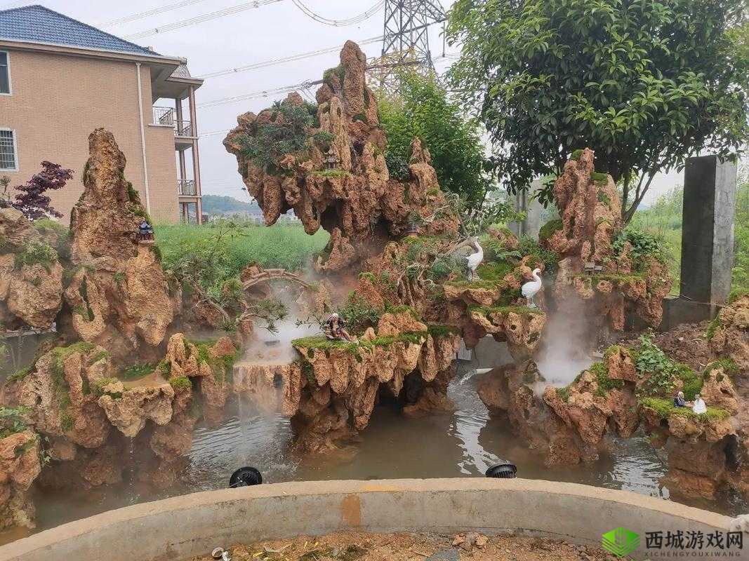 会鲤鱼吸水怎么练：掌握正确练习方法