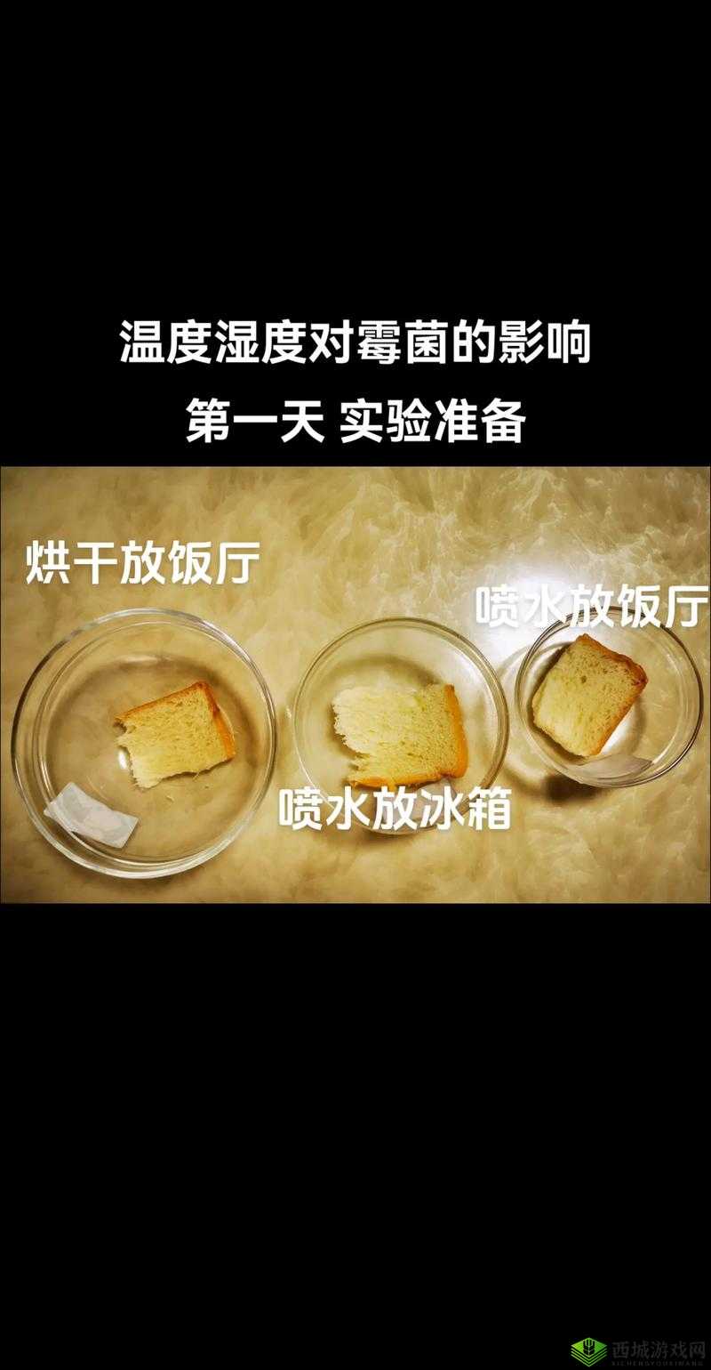 温度类型 h1 什么意思:深度解析与探究