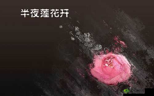 女人半夜莲花开：一种神秘现象的解读