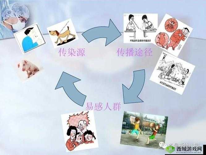 果冻传染煤 A 斤：探寻其传播路径与影响