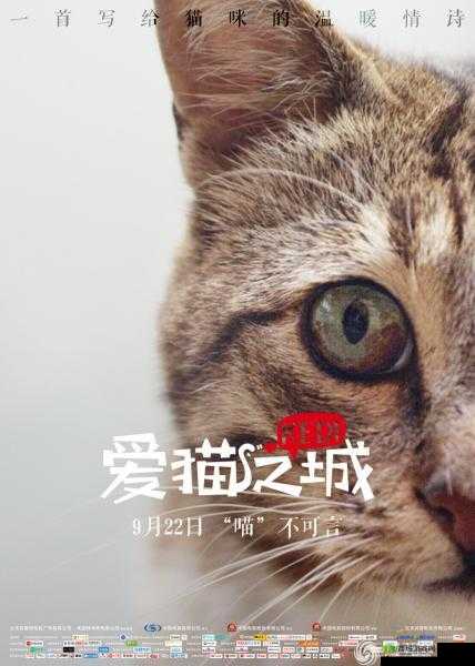 《灵猫传》特色售卖方案及深度推广思路全面解读：打造独特猫文化产品，引领市场新潮流