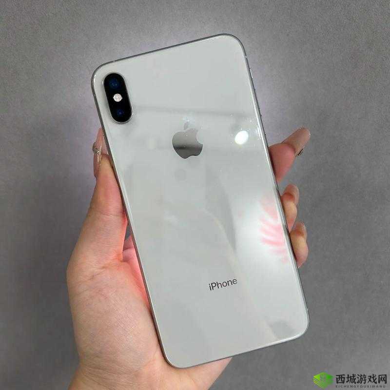 日本正版苹果 XS Max：高端品质，值得拥有