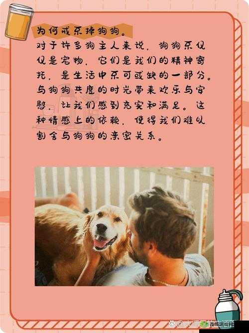 狗狗让我上瘾戒不掉：怎么办