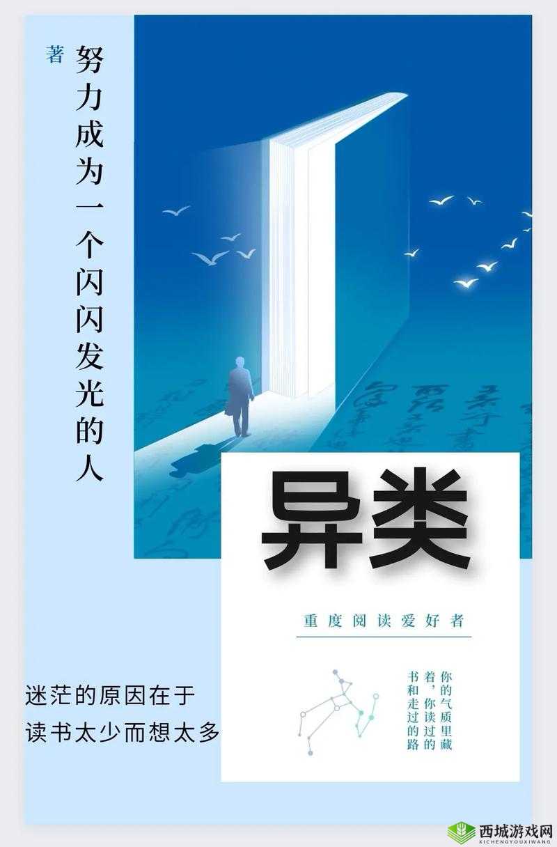 不样的传说套装:深度解析其独特魅力与细致设计之路径