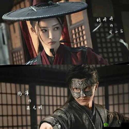 暗卫营大型 HPN:神秘力量的集结地