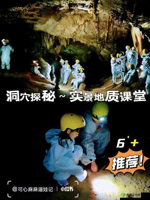 鼻顶豆舌探洞的奇妙探索之旅