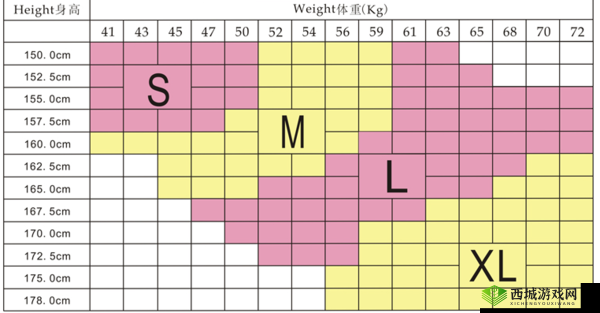 欧洲 S 码和亚洲 M 码的尺寸范围对比分析