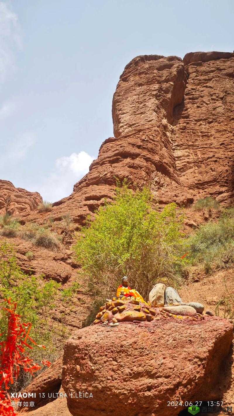 AAAA 级毛皮在该国的发展状况