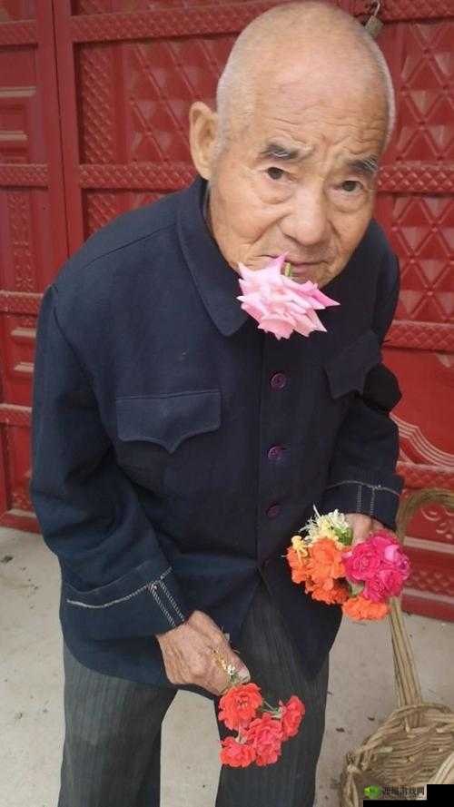 老王头的春天林初晴最火的一句：桃花笑春风