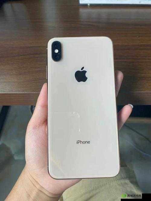 XSMAX 日本相关产品及资讯