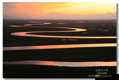 桂花婶是九曲十八弯：背后的故事