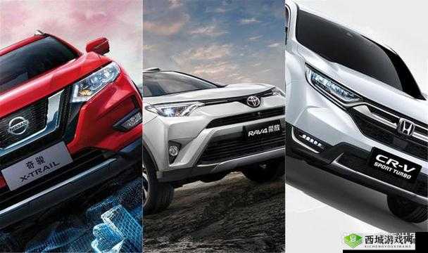 国产日产欧产精品浪潮的隐私保护：至关重要