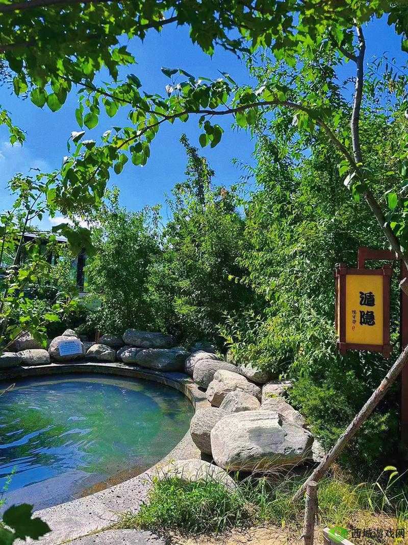 YW1168 又换到哪个了：新去处探寻