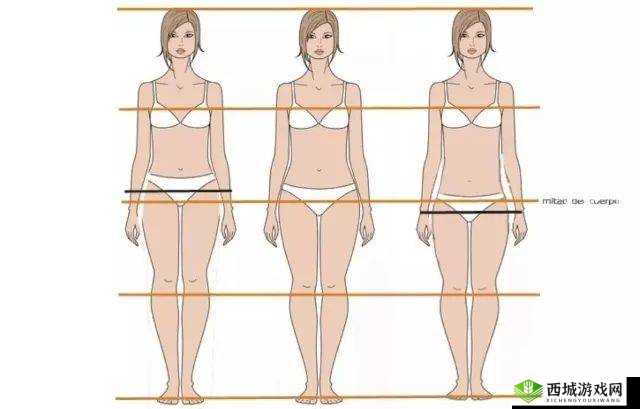 亚洲人正常比例是 46 吗：探讨其真实性