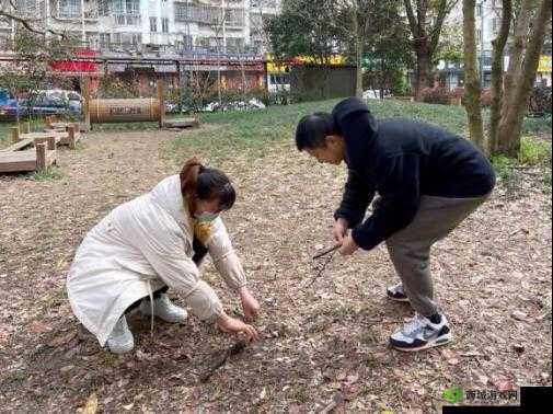 小花园想夹东西怎么办:探寻解决之法