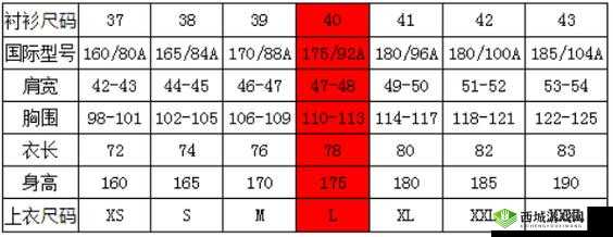 国产 L 尺码与欧版 L 尺码区别解析