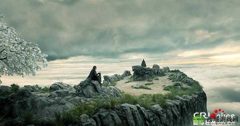 千年神效，探秘大侠之路的传奇——百年不遇之珍稀消耗品我是大大侠之千年人参