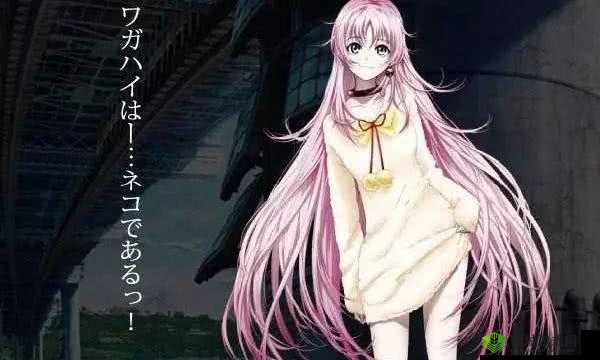 成品动漫：不止是动漫