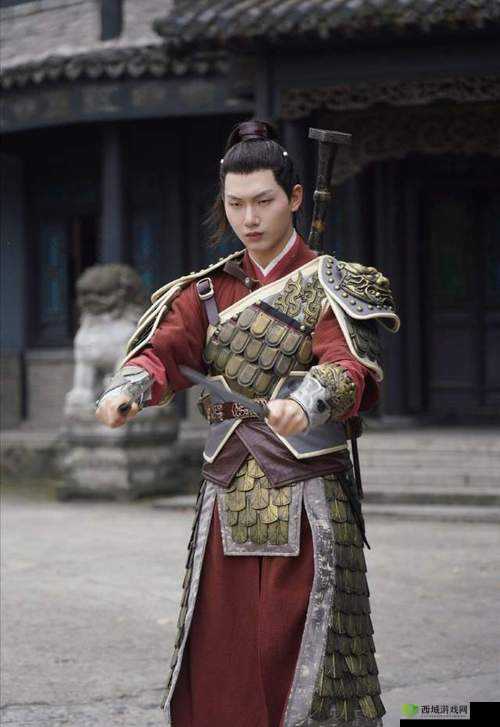 战国英雄手游新手攻略：快速升级秘籍大揭秘