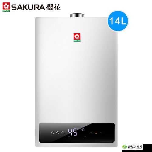 樱花 JSQ30Q211：品质卓越的热水器之选