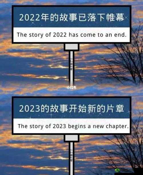寮恒ⅷ涓绾т簩绾 2022:全新篇章开启