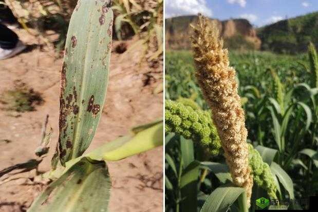 图鐢峰コ涓璧峰棢鍡熷棢鍘熷０