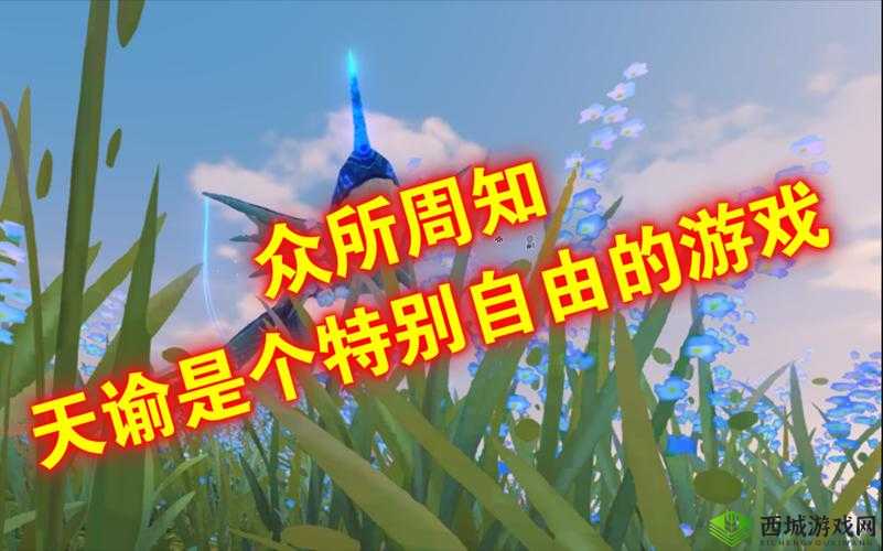 鐧藉ぉ鍋氬厔寮熸櫄涓婂仛澶濡绘庝箞鍥炲之做法探讨