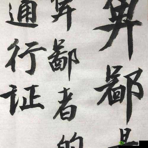 浜氭床灏虹爜鍜屾ф床灏虹爜鍖哄埆琛f湇:探寻背后的故事