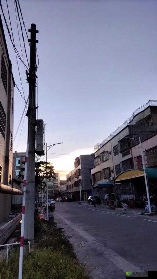 钀ф皬鍥涘厔寮熺殑缇庨叆鑲夐ゼ96 精彩呈现
