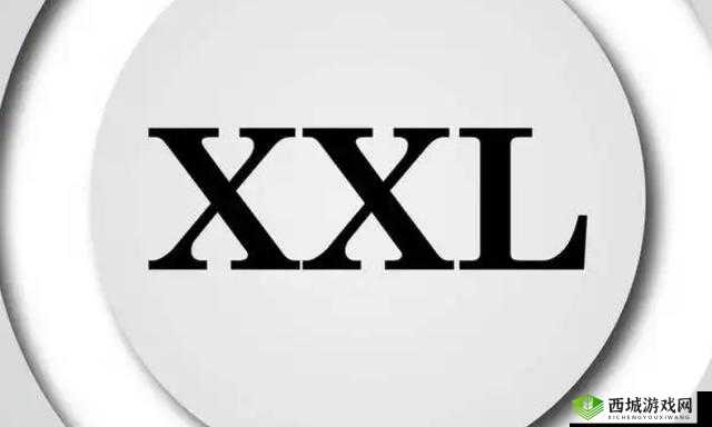XXXXXL196MD 榛戣壊：一款独特的标识