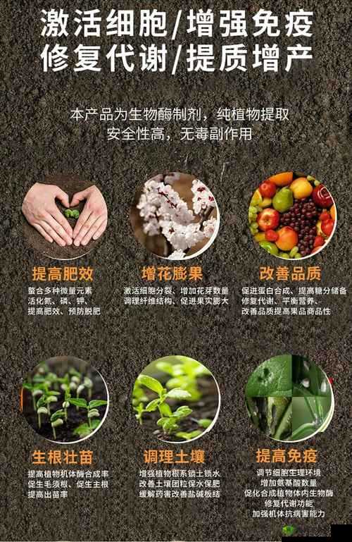 鍏閲嶇炲瓙寮瑗熷ぇ娆ф淳涔虫恫之解析