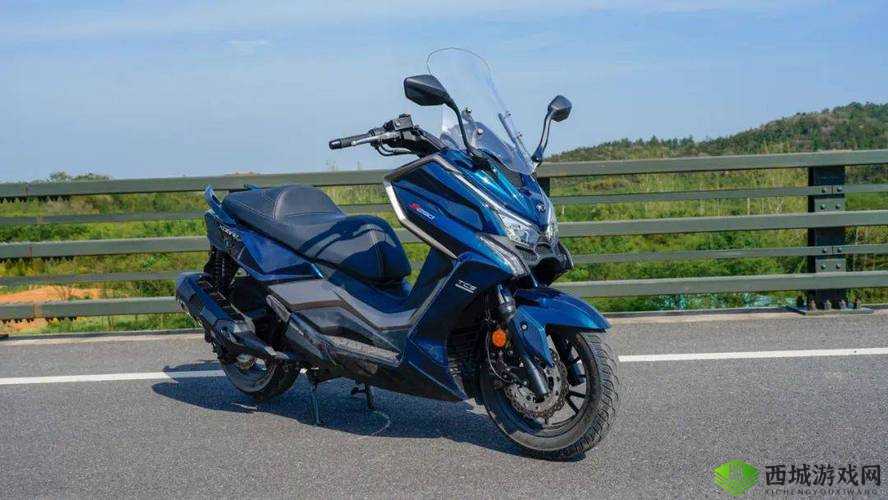 鎴愯壊濂絇 31S：独特视角解读